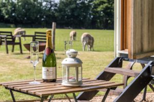 Glamping Sussex